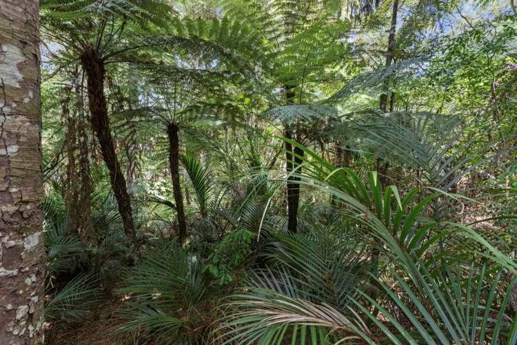 1157 Old North Road Helensville_43