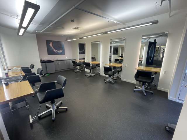 2-12 Allen Street Te Aro_2