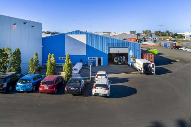 7-9 Alfred Street Onehunga_4