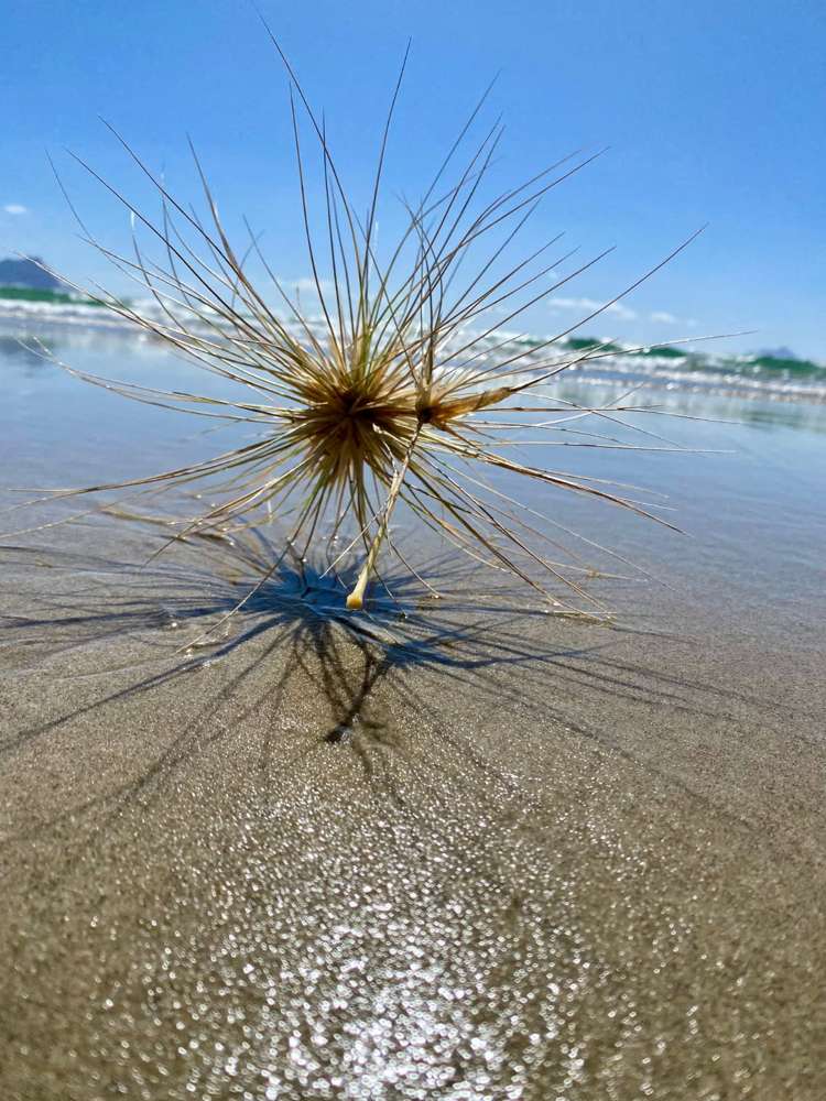 29 Bream Bay Drive Ruakaka_27