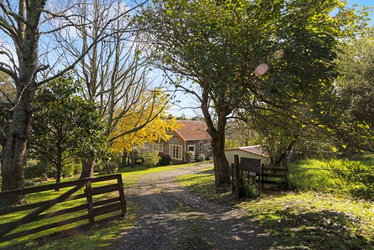 370 Rimmer Road Helensville_29