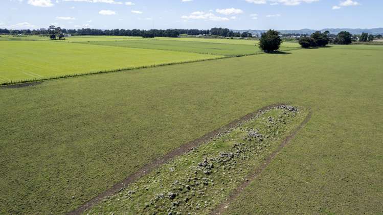 174 Wiltons Road Carterton_20