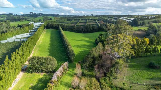 8 & 2/75 Riddell Road Kerikeri_1