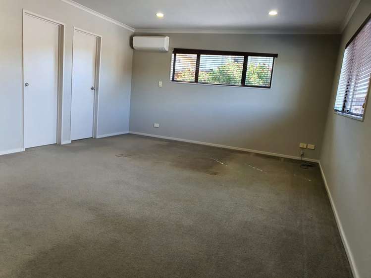 31a Tiverton Road Avondale_23