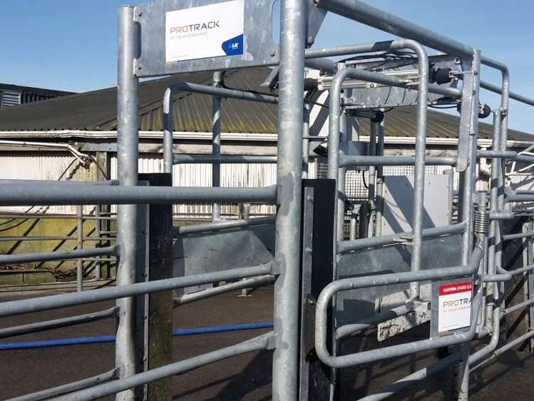 346 Rugby Road Tariki_39