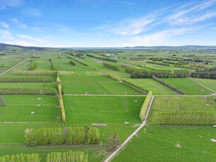 119 The Crescent Road Kaitangata_22