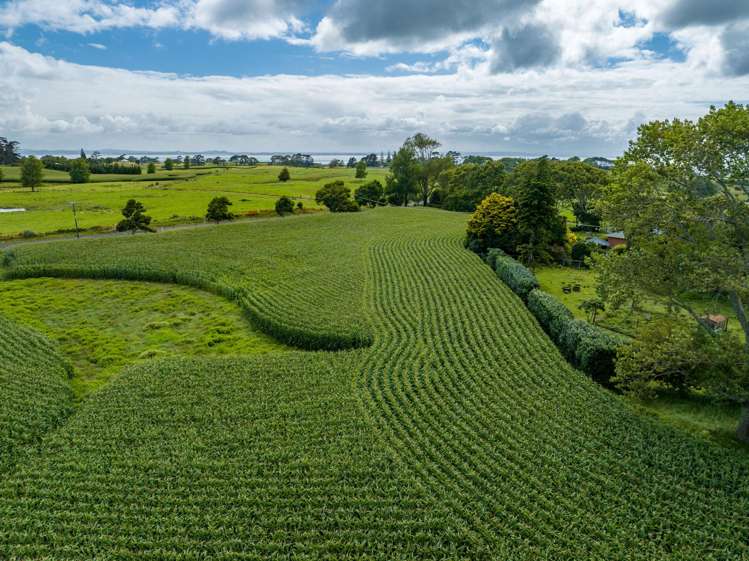312 Grahams Beach Road Manukau Heads_17