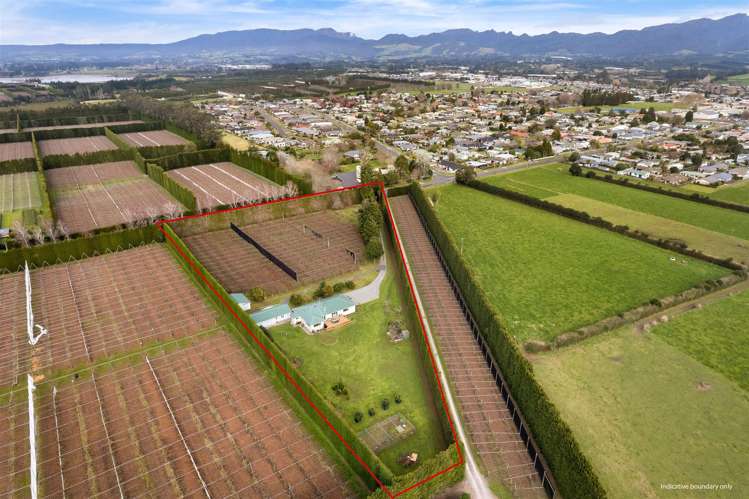 113 Beach Road Katikati_22