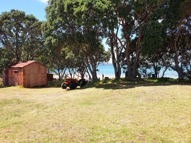 - Martins Bay Road Mahurangi East_1