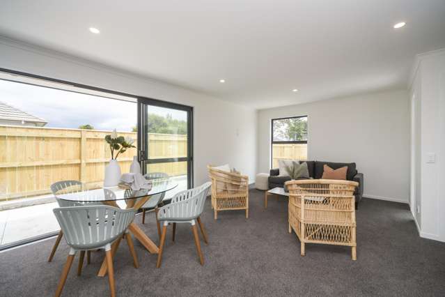 27a Tyne Street Roslyn_3