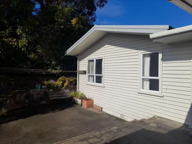 23 Puriri Street 11201_2