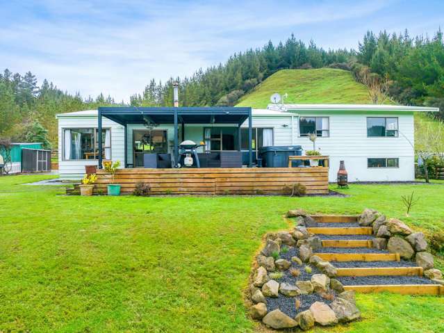 795 Oio Road Owhango_2