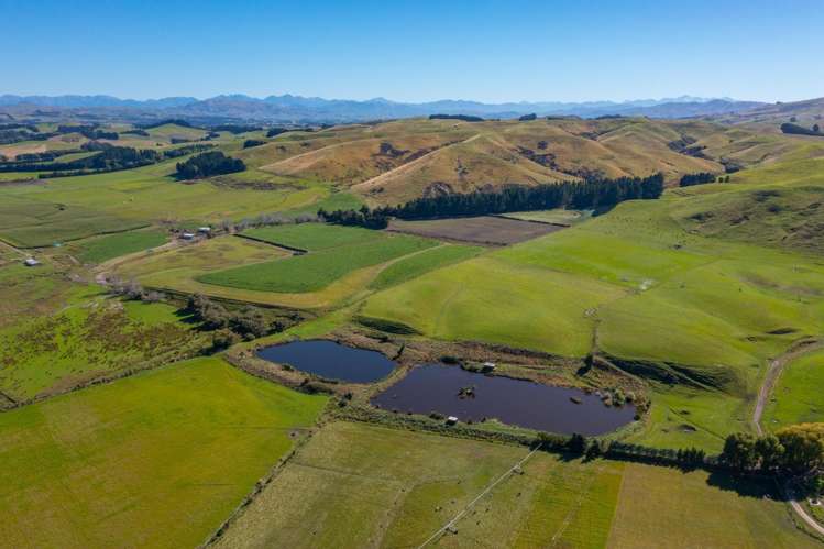 359 Hurunui Mouth Road Domett_2