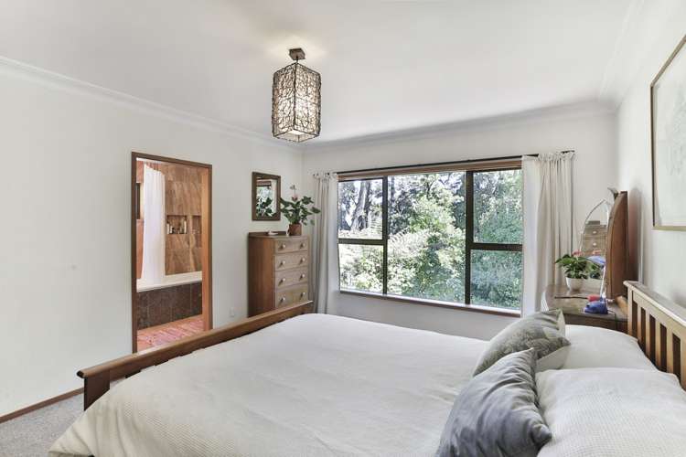 55 Tanekaha Road Titirangi_8