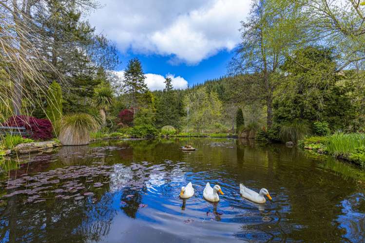 2211 Winchester-Hanging Rock Road Pleasant Point_14