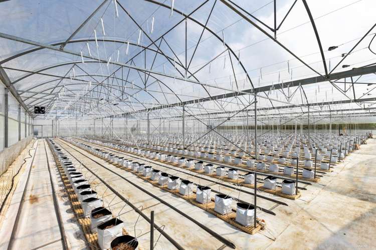 507b Harrisville Road Buckland_10