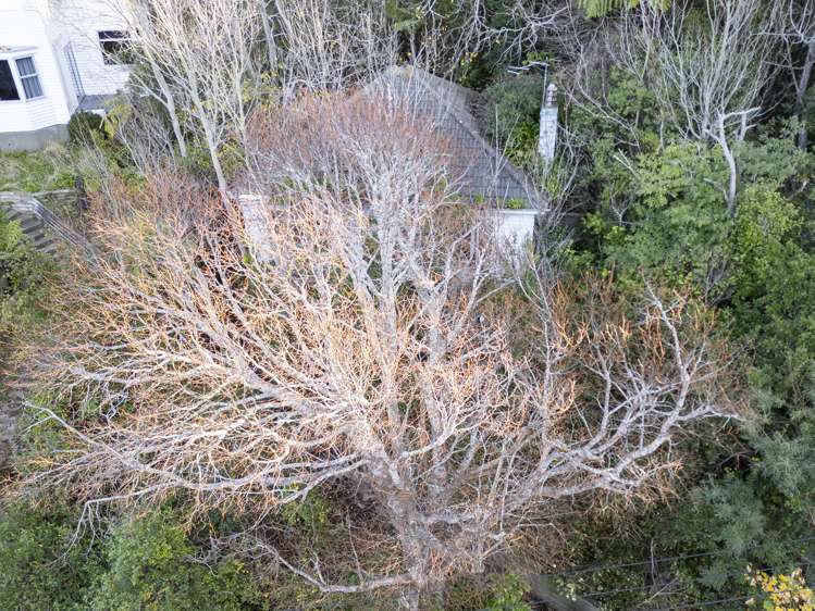 17 Romney Square Tawa_14