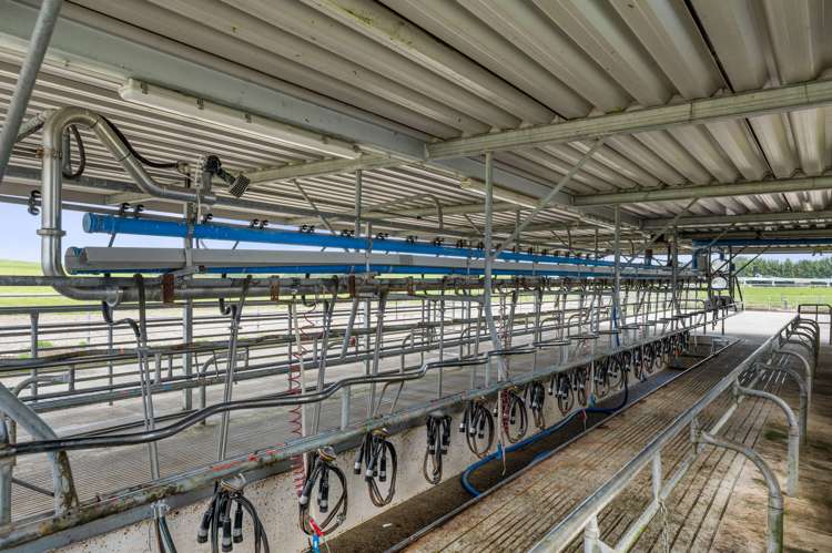 318 Gavin Road Rerewhakaaitu_8