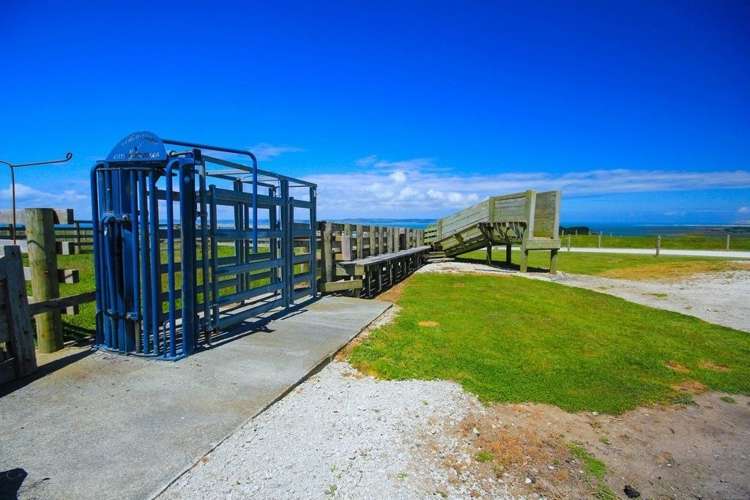 801 Burma Road Tapora_18