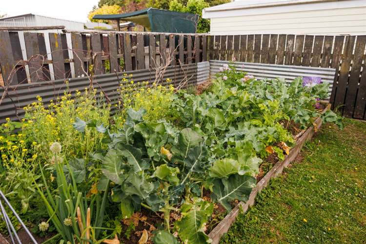 12a Signal Street Marton_11