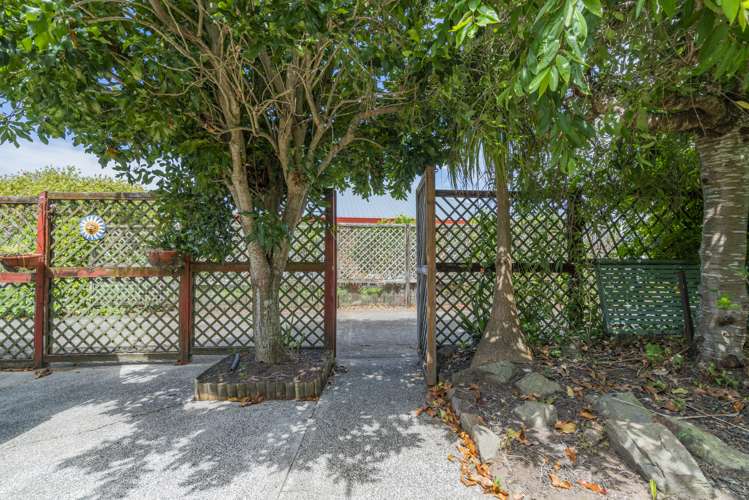 7 Springbok Avenue Whitianga_13