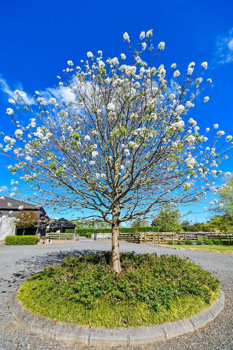 58 Ellett Road Karaka_17