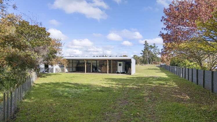 363 Brandon Hall Road Bulls_23