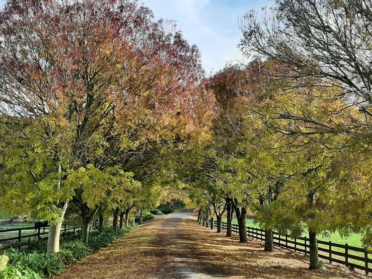 1829b Tirau Road Karapiro_10