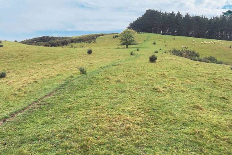 126 Richards Road Dairy Flat_21