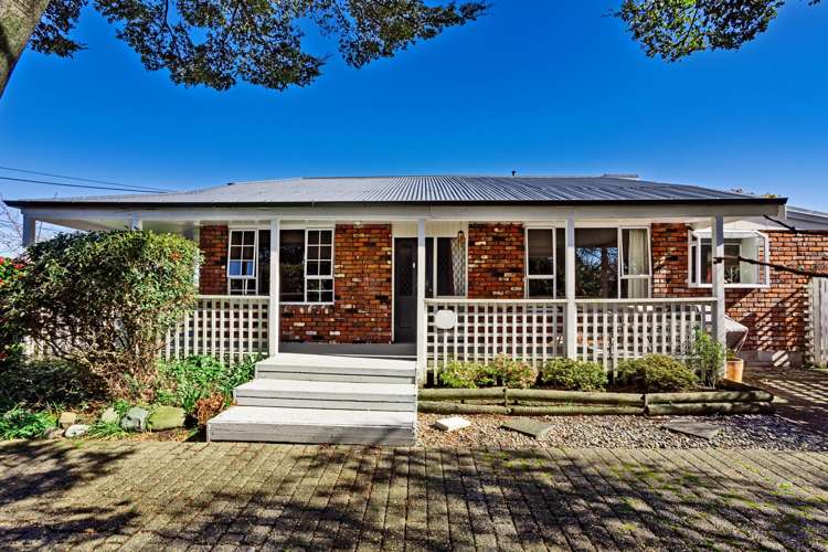 58 Galway Street Grasmere_2