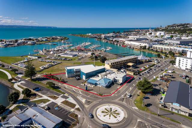 Premium Napier location - multiple options