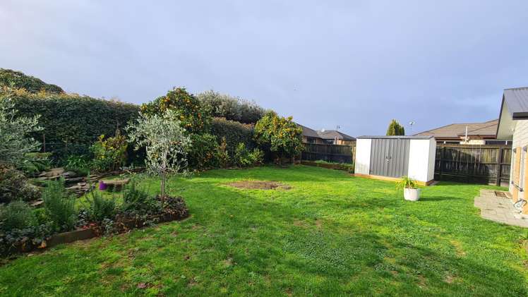 11 Beatty Road Matamata_15