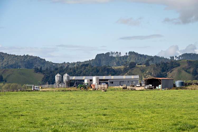 Queens Farm, 16 McGinley Road Opotiki_17