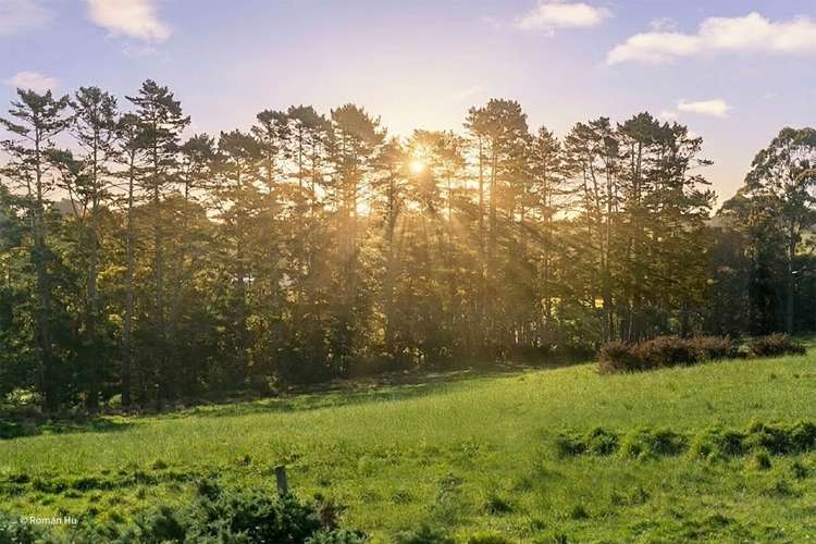 166 Kerepi Street Westgate_19