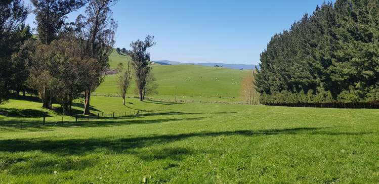 759 Adams Flat Road Balclutha_14