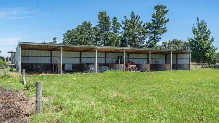 300 Courtenay Road Charing Cross_3