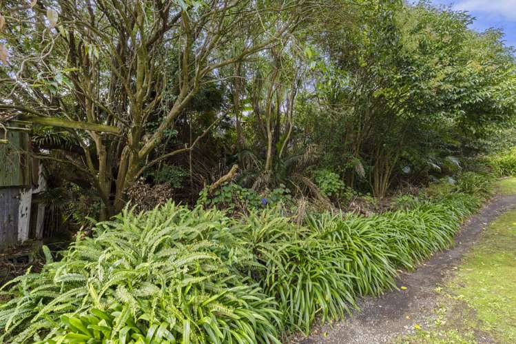 39 Rose Street Raglan_8