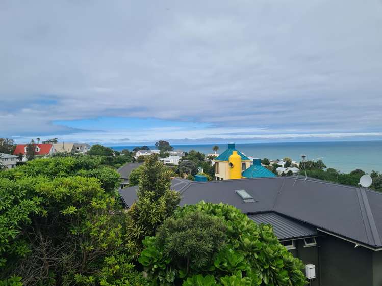 26 Thompson Road Bluff Hill_31