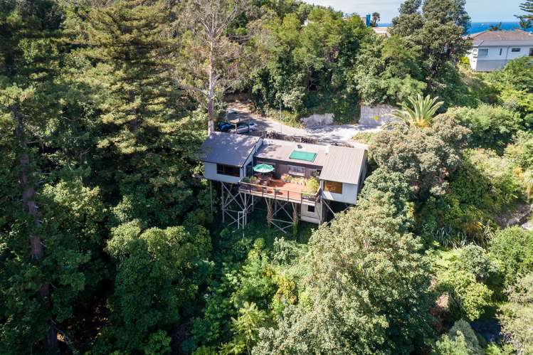 35 Lighthouse Road Bluff Hill_16