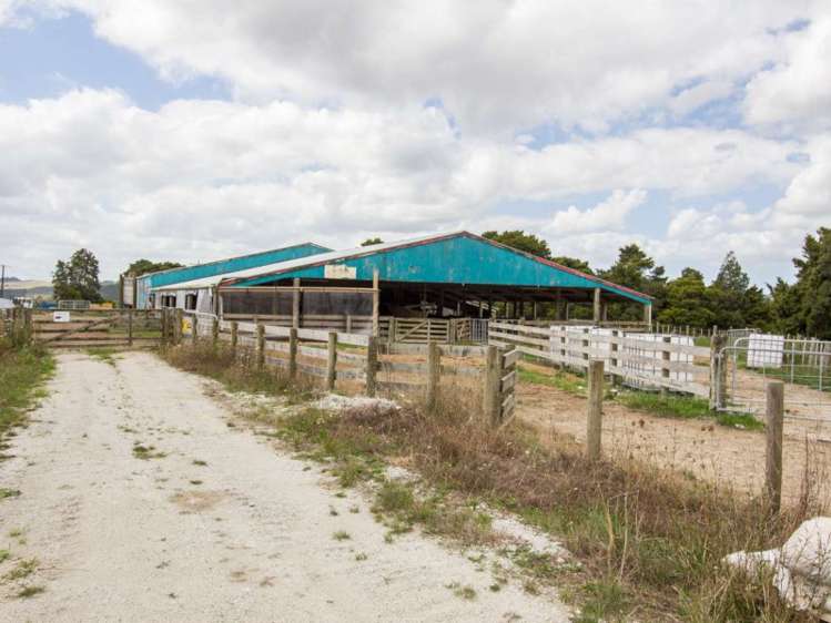 25 Parker Road Otamatea Surrounds_7