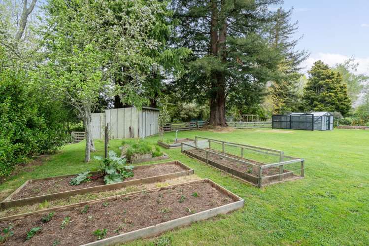 9 Fitzroy Place Tikitere_27