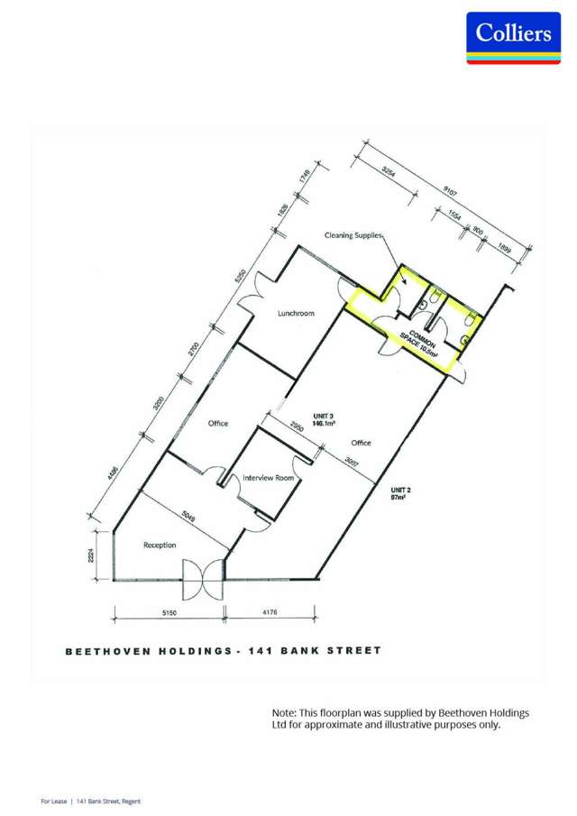 141 Bank Street Regent_4