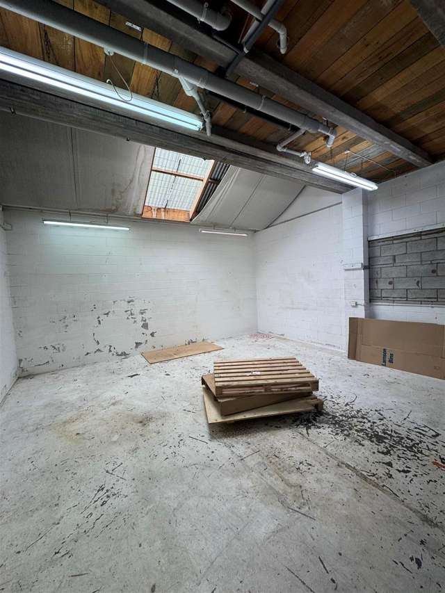 19 Arthur Street Te Aro_3