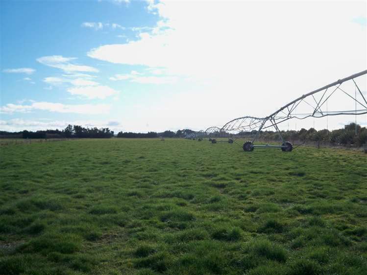 449 Greenpark Road Springston_3