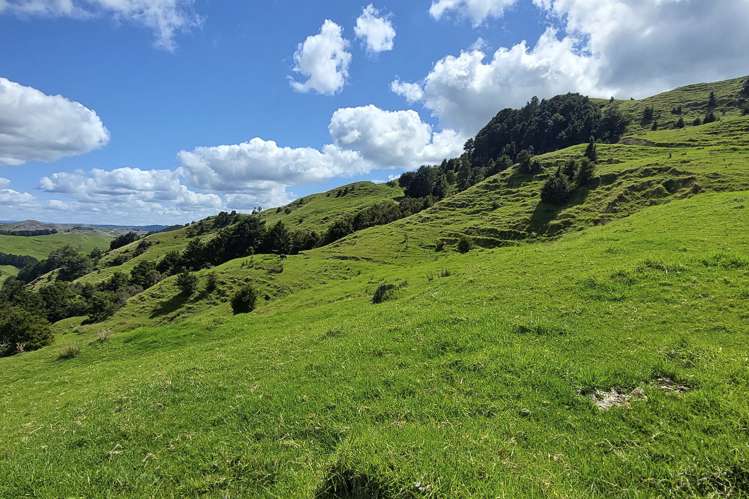 632 Marlow Road Maromaku_16