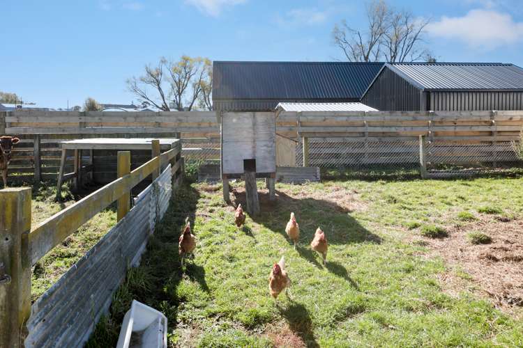 14 Victoria Street Waipawa_16