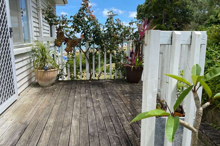 852 Thames Coast Road Te Mata_18