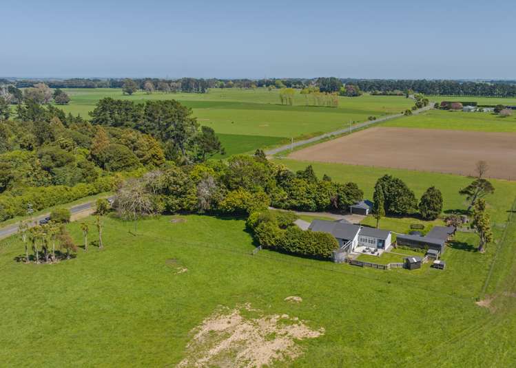 787 Fern Flats Road Marton_15