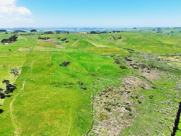 Lot Lot 2 Scottys Camp Road Dargaville_16