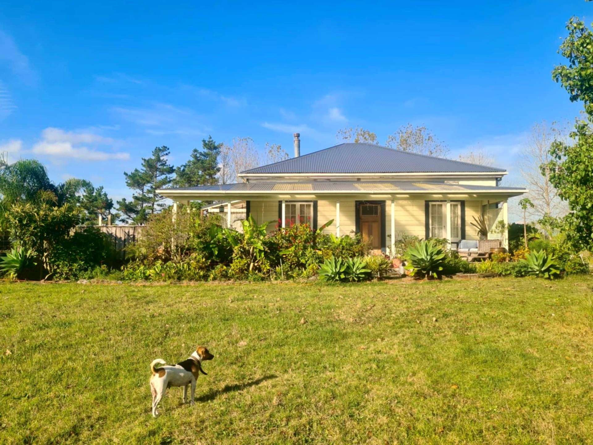 290 Notorious West Road Mahuta_0